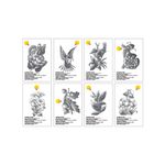 Chameleon-Color-Cards-Set-8-Tarjetas-para-Colorear-Naturaleza-2
