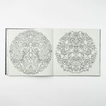 libro-para-colorear-el-jardin-secreto-johanna-basford-5